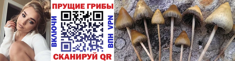 Галлюциногенные грибы GOLDEN TEACHER  Билибино 